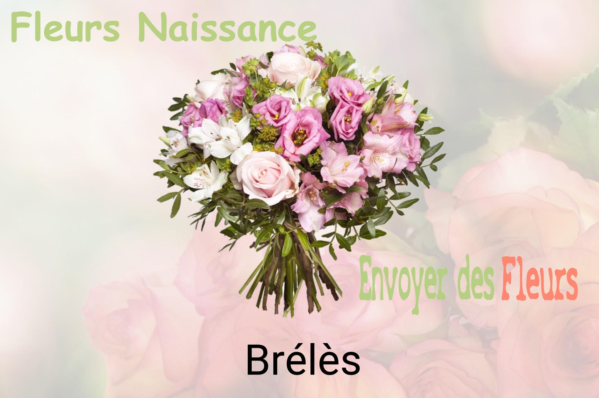 Bouquet de fleurs de naissance livré à Brélès